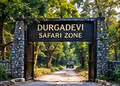 A forest safari gate signed Durgadevi Safari Zone